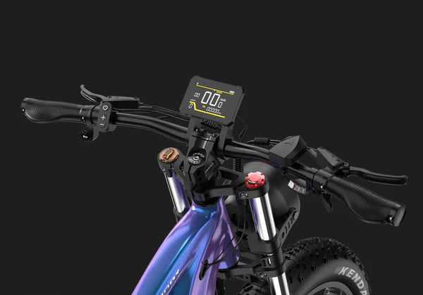 DUOTTS E26 Elektro-Fatbike