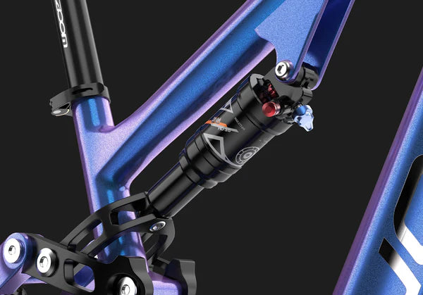 DUOTTS E26 Elektro-Fatbike