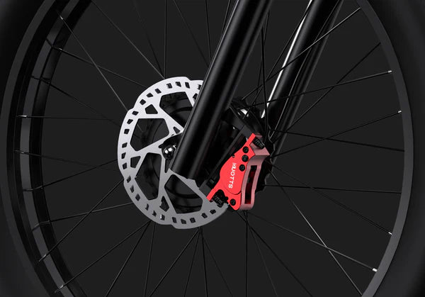 DUOTTS S26 Elektro-Fatbike