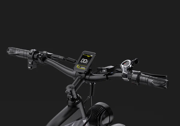 DUOTTS F26 Electric Fatbike