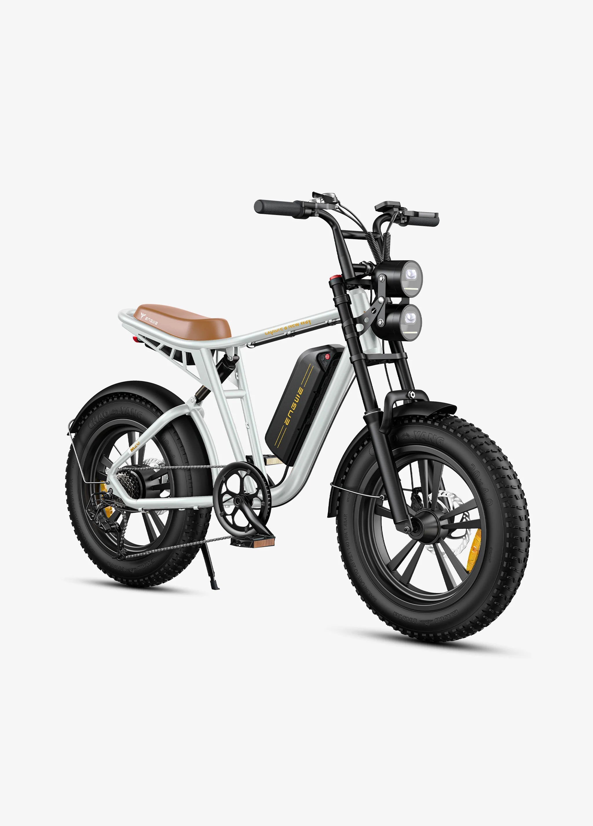 ENGWE M20 Electric Fatbike