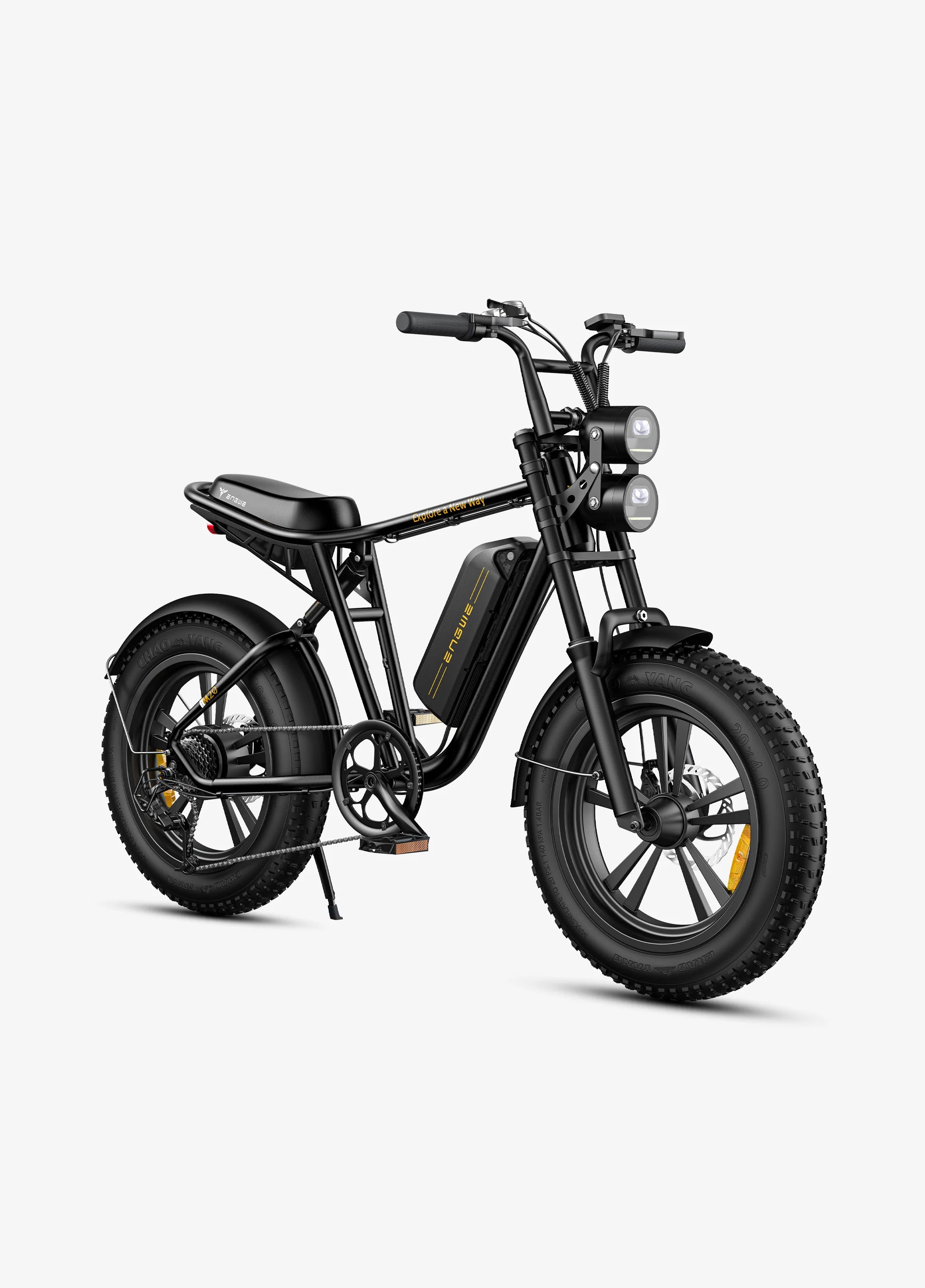 ENGWE M20 Electric Fatbike