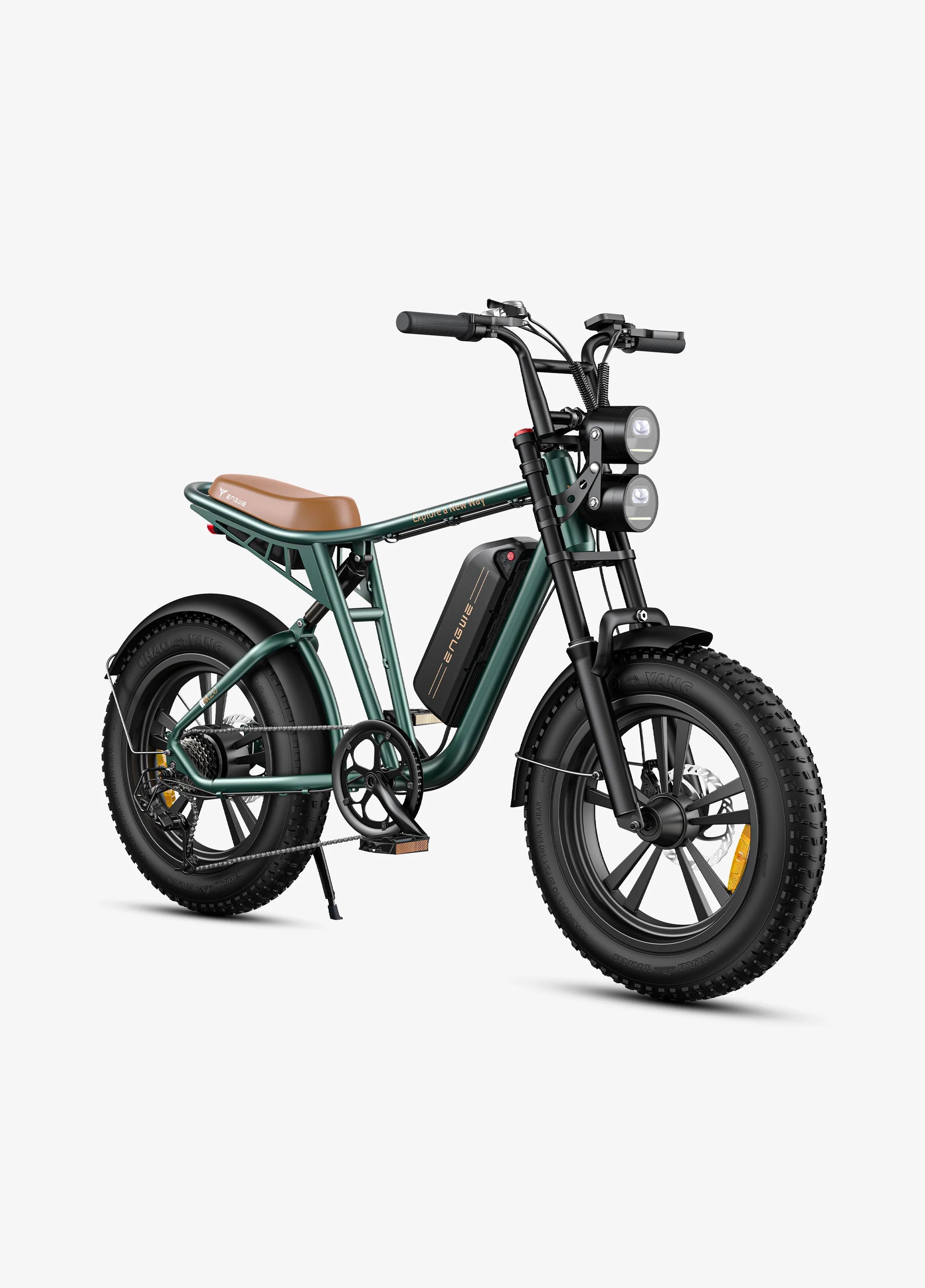 ENGWE M20 Electric Fatbike